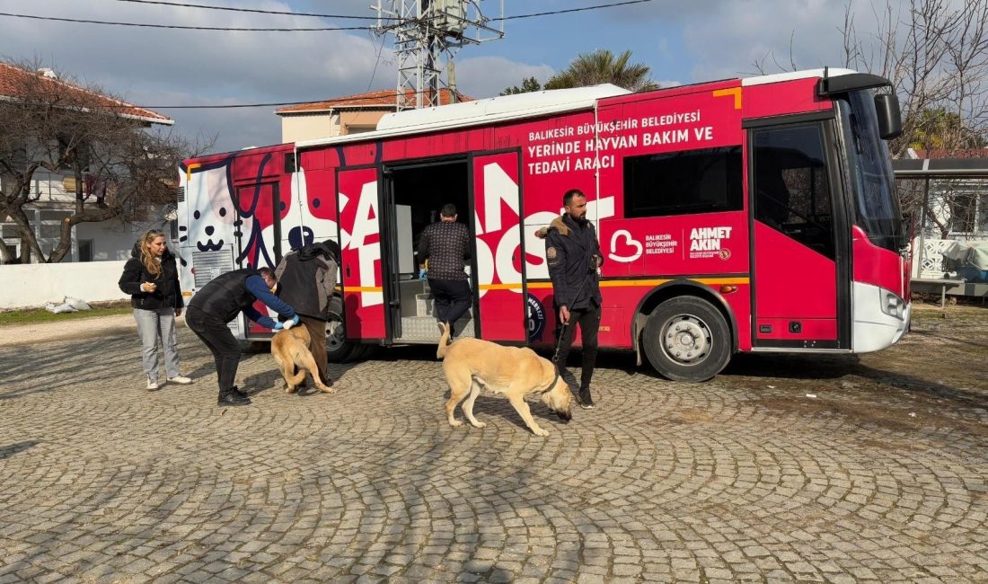 Balıkesir’de ilçe ilçe dolaşarak sokak hayvanlarına ücretsiz tedavi desteği sağlayan